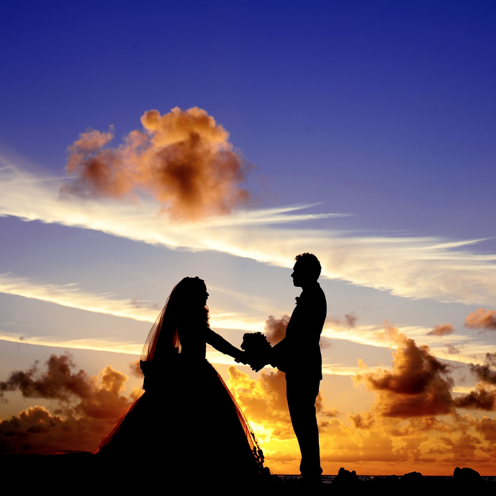 A black silhouette photo of a bride and groom holding hands outside in a beautiful sunset.